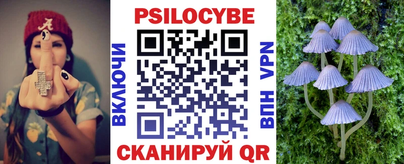 Галлюциногенные грибы Psilocybe как найти закладки нарко площадка какой сайт Щёлкино kraken ССЫЛКА