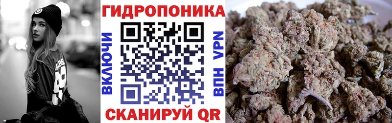 МЕГА онион  закладки  Щёлкино  Бошки марихуана SATIVA & INDICA 